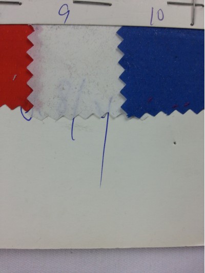 DG-YNSG  滿天星 細節-2